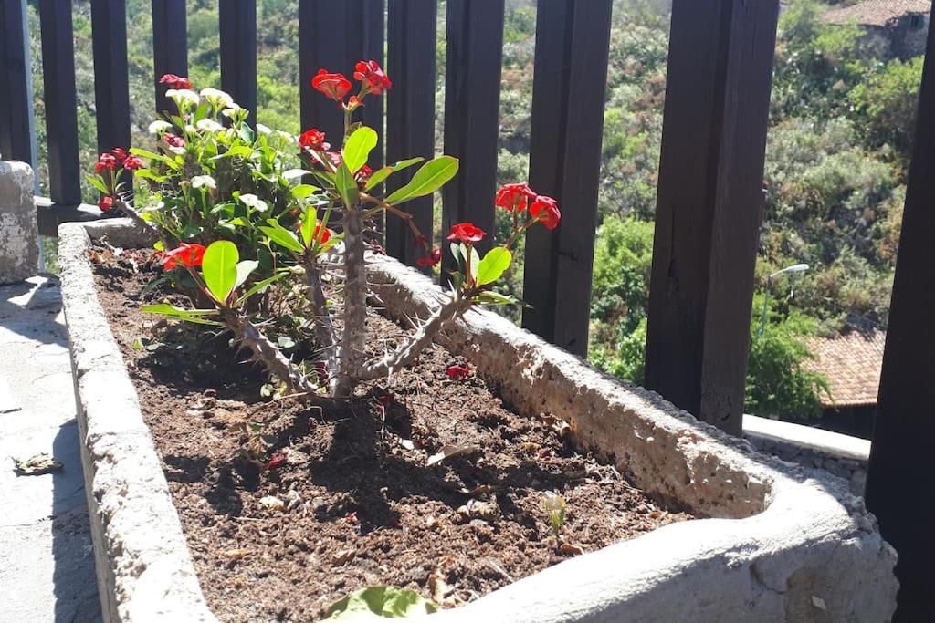 הוילה אדחה Casa Tia Rosa. מראה חיצוני תמונה
